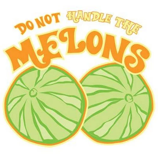 Don't Handle The Melons T Shirt Relaxed Cotton Short Shirt