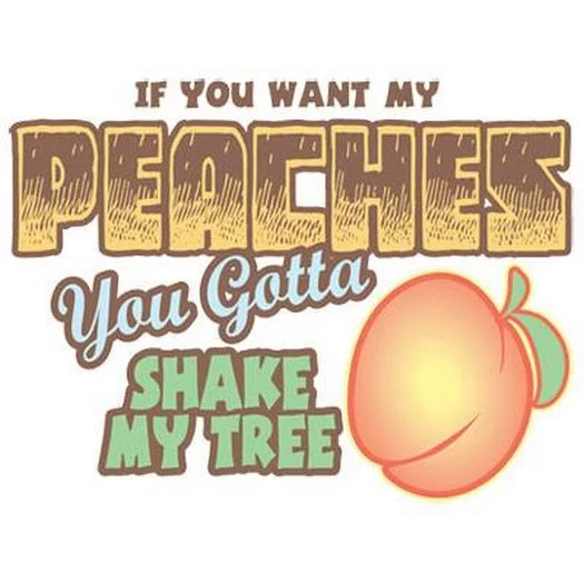 If You Want My Peaches T Shirt Stylish Round Neck Shirt